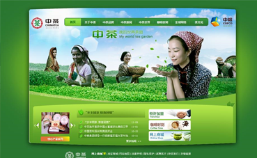 南通网站建设公司黑羽网络签约 [中茶集团]