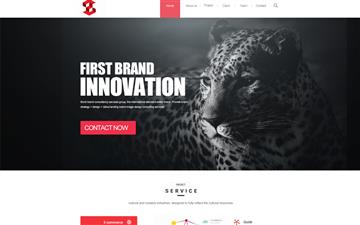 自贡黑羽网络网页制作案例-INNOVATION