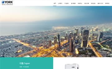 自贡黑羽网络网页制作案例-广东约克中央空调销售服务中心