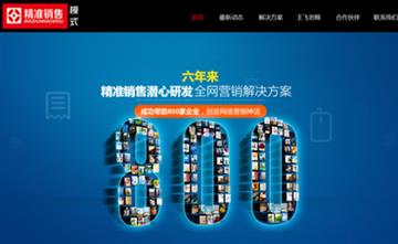 自贡黑羽网络网页制作案例-北京精准销售模式