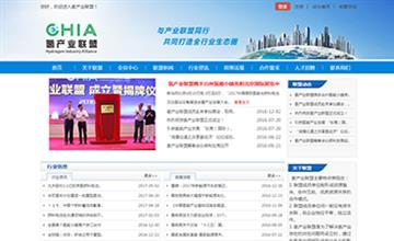 自贡黑羽网络网页制作案例-广东氢产业联盟