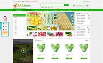 自贡黑羽网络网页制作案例- 宁夏红长青蔬菜配送网